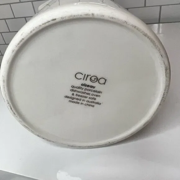 NEW Ciroa Oiseau 48oz Pitcher - Picture 4 of 6